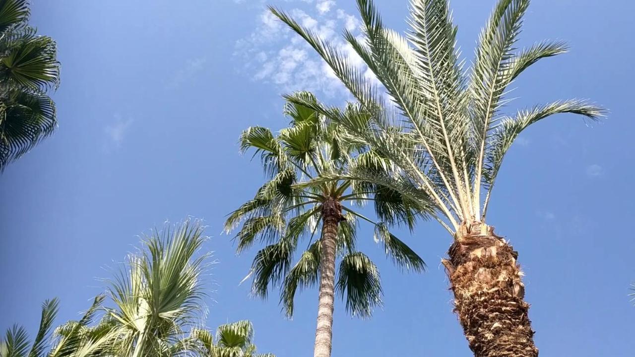 Fantastic 1 Bed Apartment By The Sea Opposite 4 Seasons Limassol Bagian luar foto