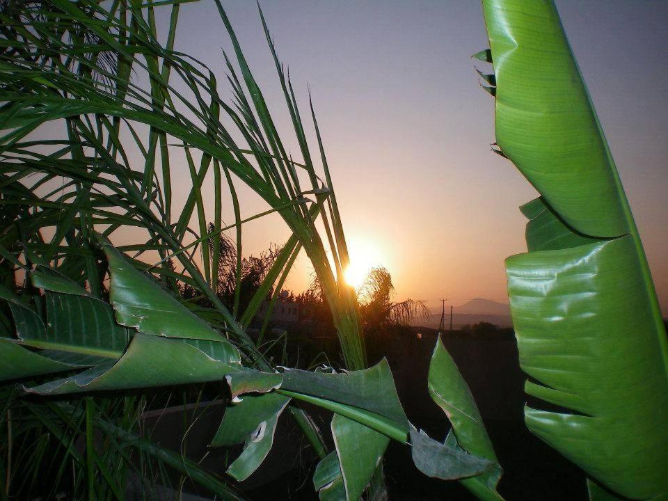 Fantastic 1 Bed Apartment By The Sea Opposite 4 Seasons Limassol Bagian luar foto